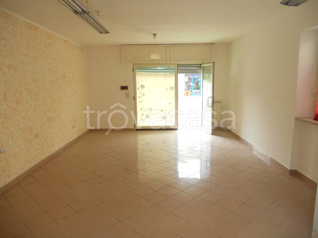 immagine annuncio 0 di 7