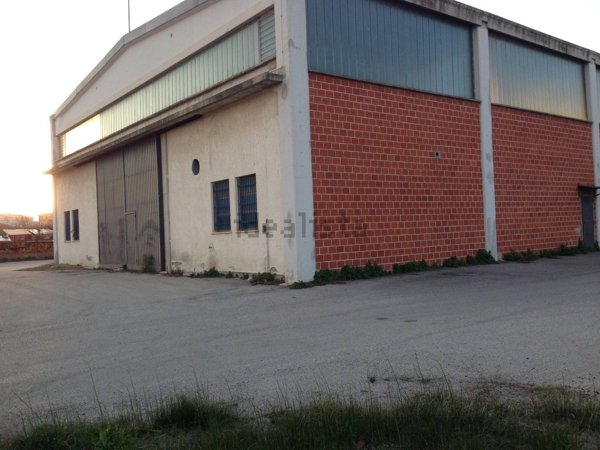 ufficio in affitto a Montesilvano