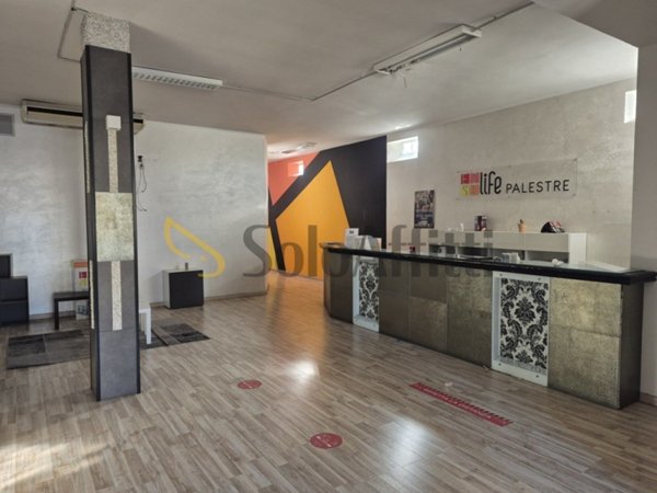 negozio in affitto a Montesilvano