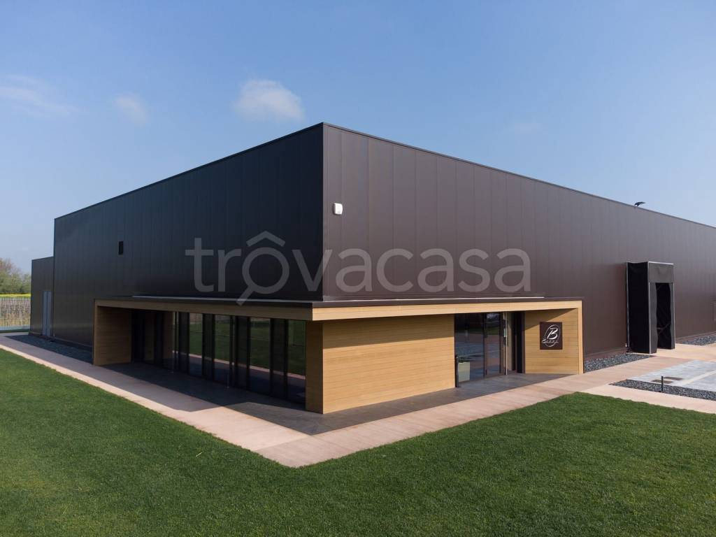 locale commerciale in affitto a Montesilvano