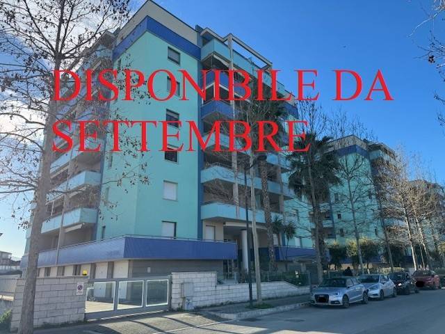 appartamento in affitto a Montesilvano