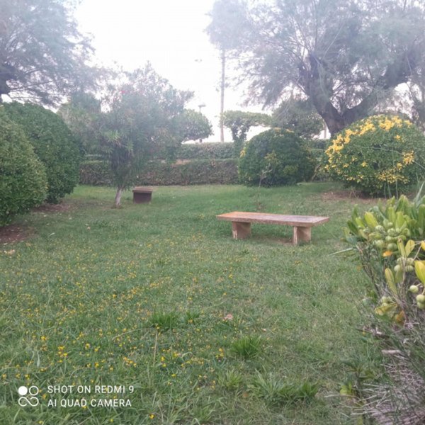 appartamento in affitto a Montesilvano