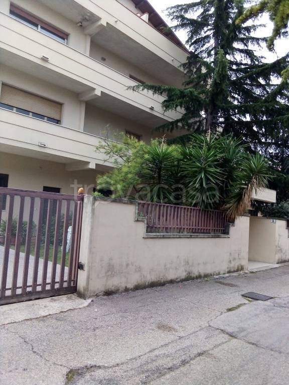 appartamento in affitto a Montesilvano
