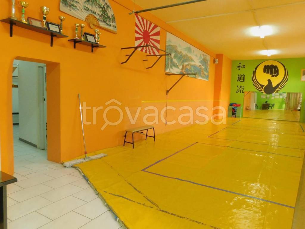 appartamento in affitto a Pescara