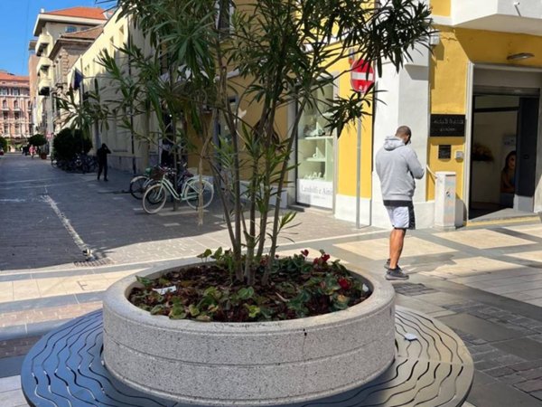 appartamento in affitto a Pescara
