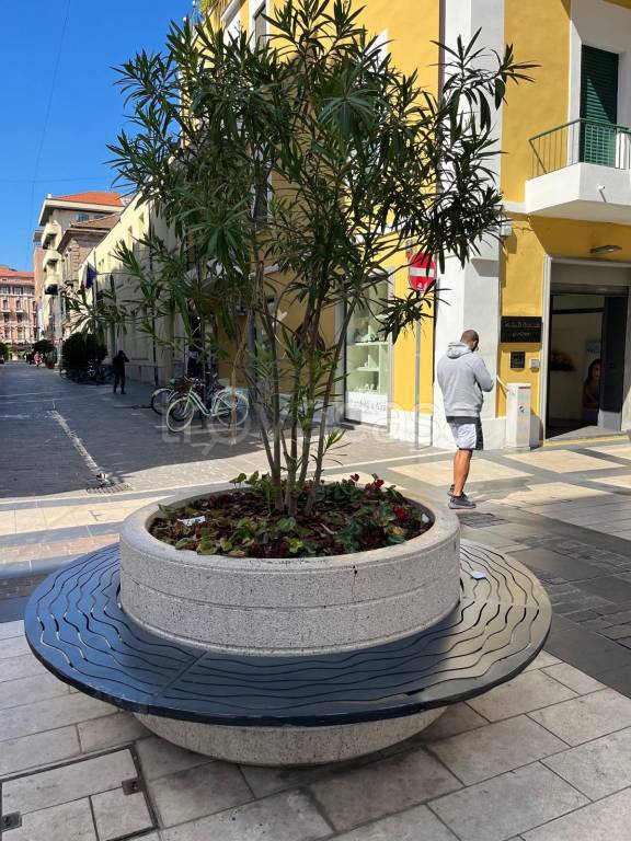 appartamento in affitto a Pescara