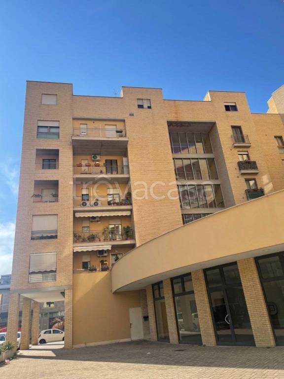 appartamento in affitto a Pescara