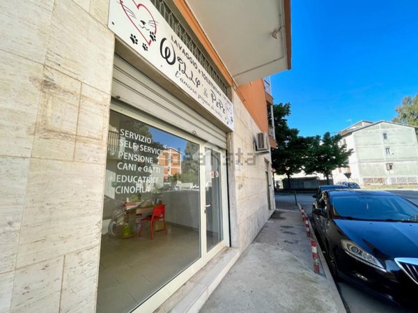 appartamento in affitto a Pescara