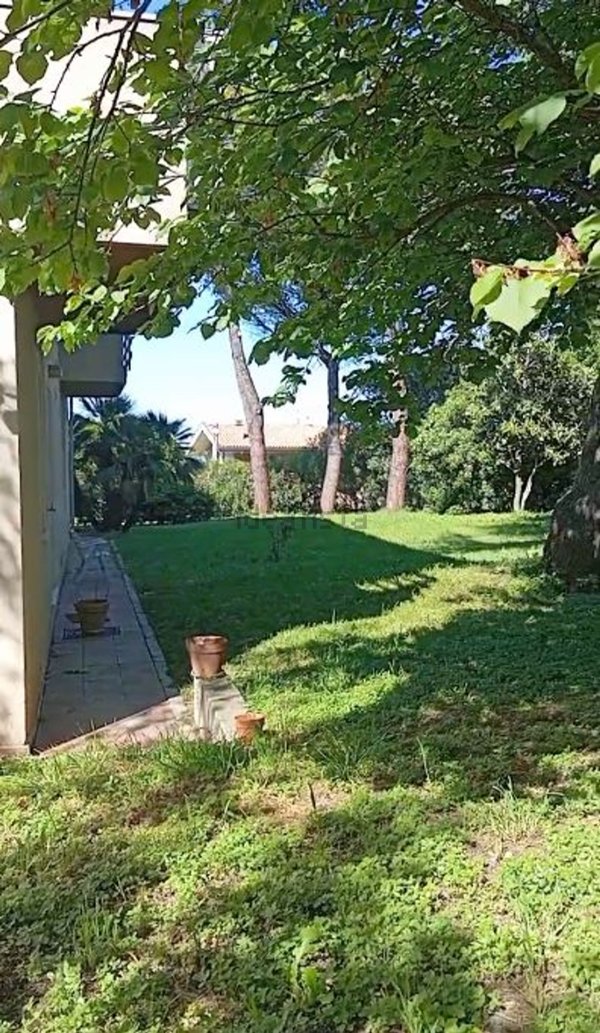 casa indipendente in affitto a Pescara