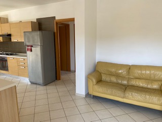 appartamento in affitto a Pescara