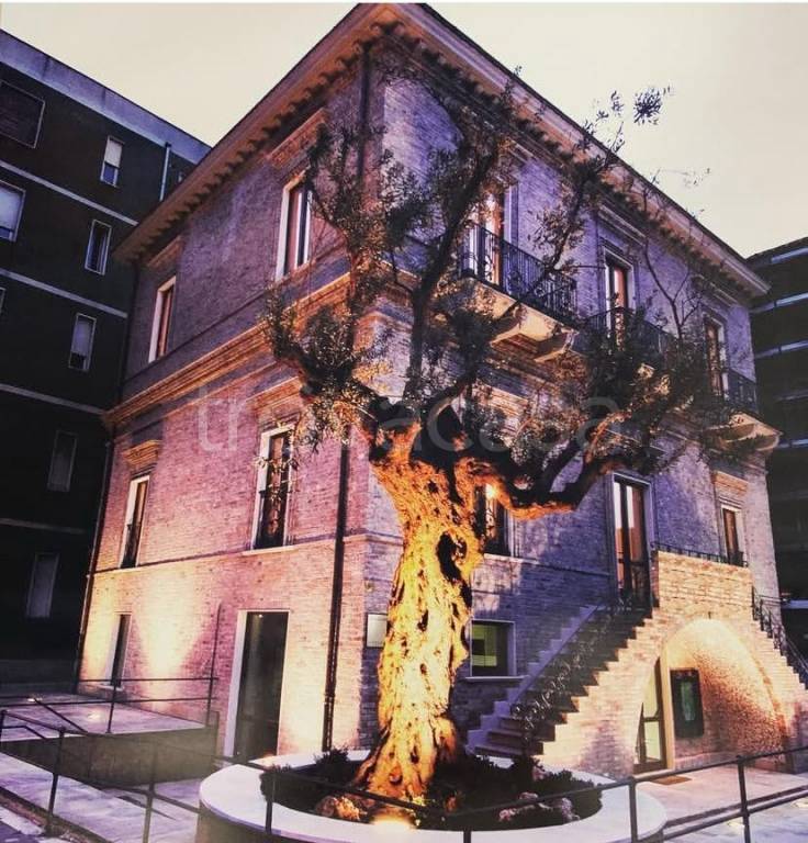 trivano in affitto a Pescara in zona Porta Nuova