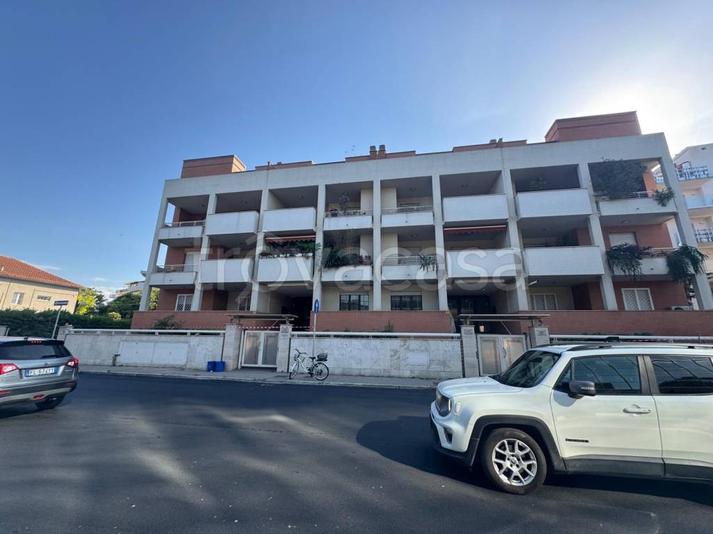 appartamento in affitto a Pescara
