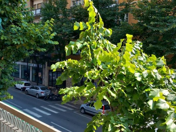 appartamento in affitto a Pescara in zona Centro Città