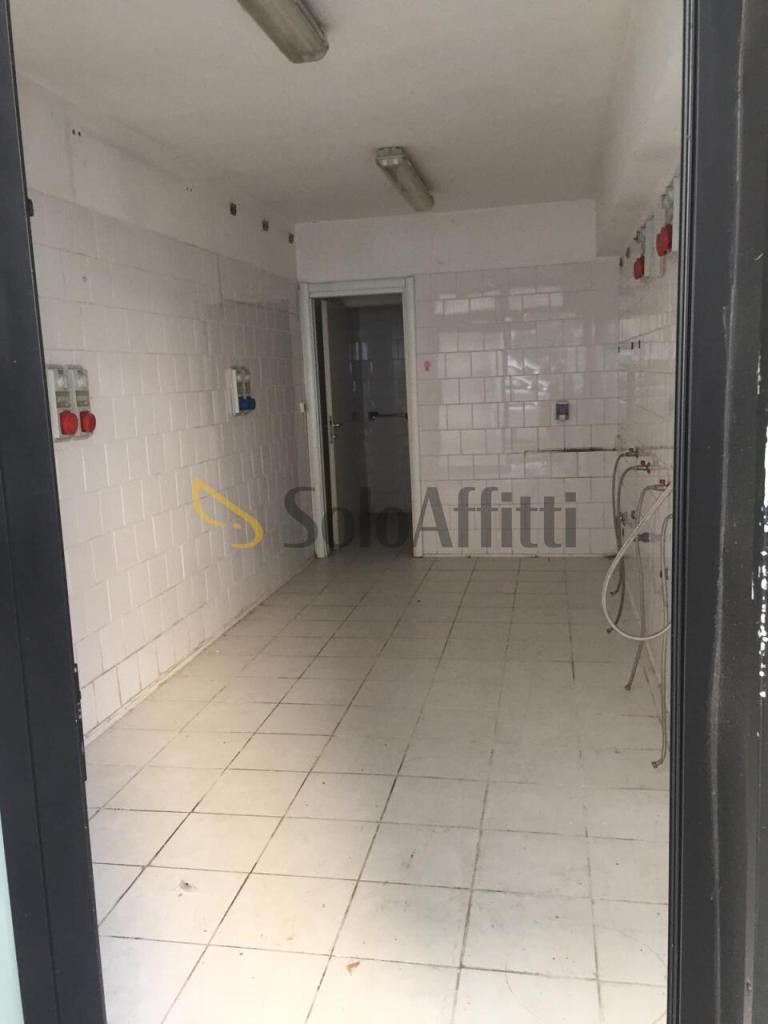 appartamento in affitto a Pescara