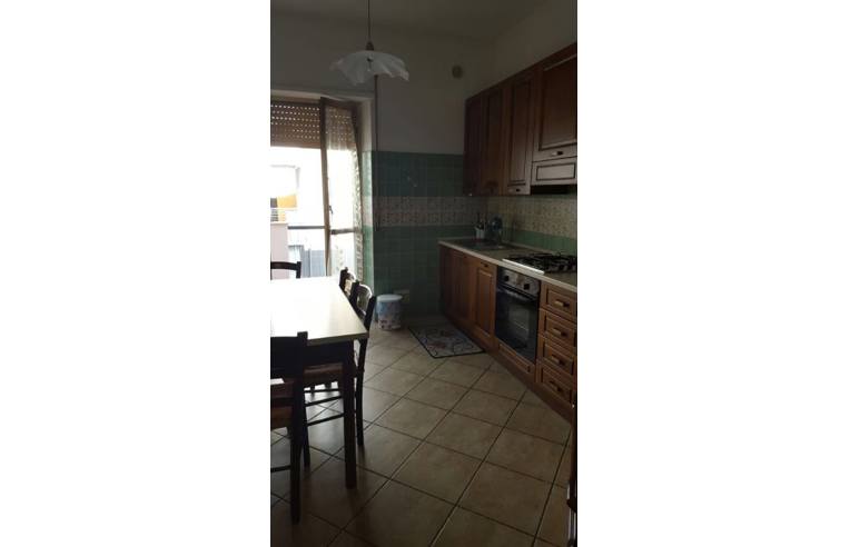 appartamento in affitto a Pescara