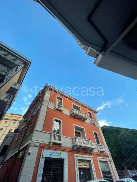 appartamento in affitto a Pescara