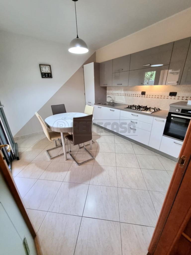 appartamento in affitto a Pescara