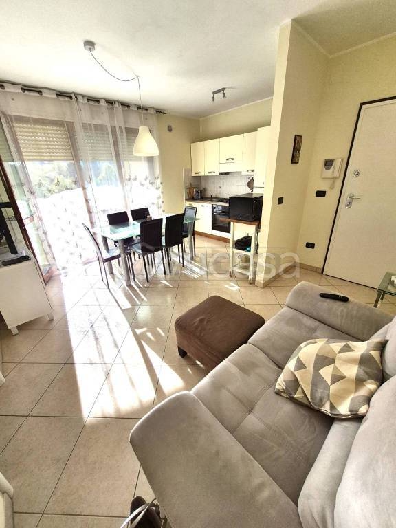 appartamento in affitto a Pescara