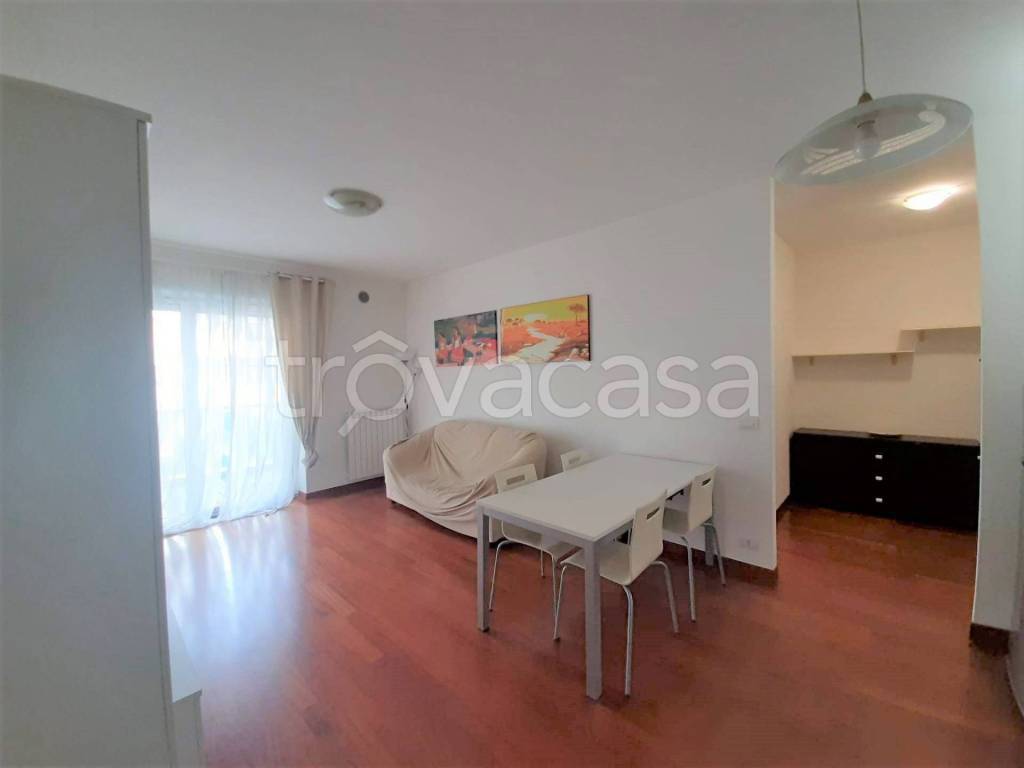 appartamento in affitto a Pescara