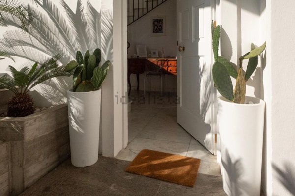 appartamento in affitto a Pescara