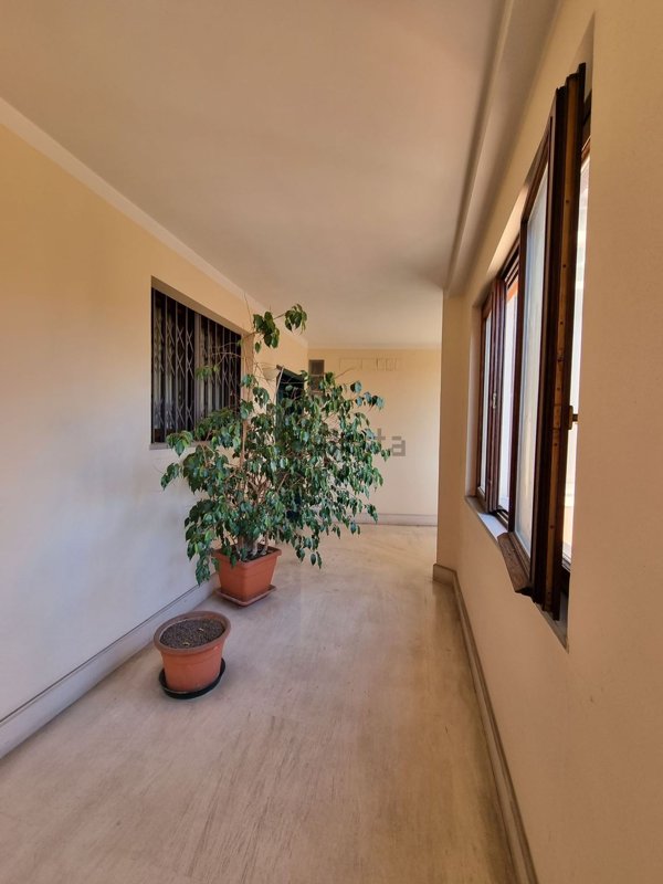 appartamento in affitto a Pescara