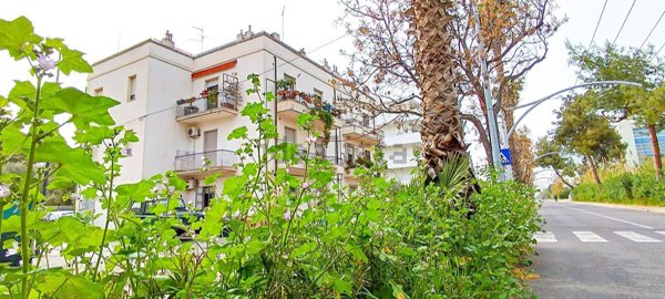 appartamento in affitto a Pescara in zona Pineta