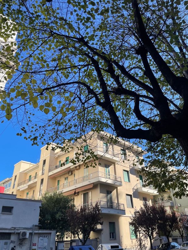 appartamento in affitto a Pescara