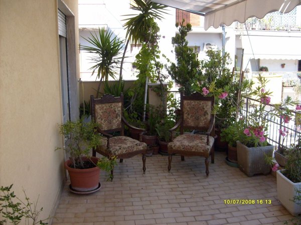 appartamento in affitto a Pescara