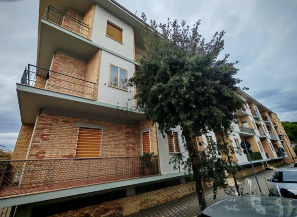appartamento in affitto a Pescara