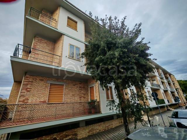 appartamento in affitto a Pescara