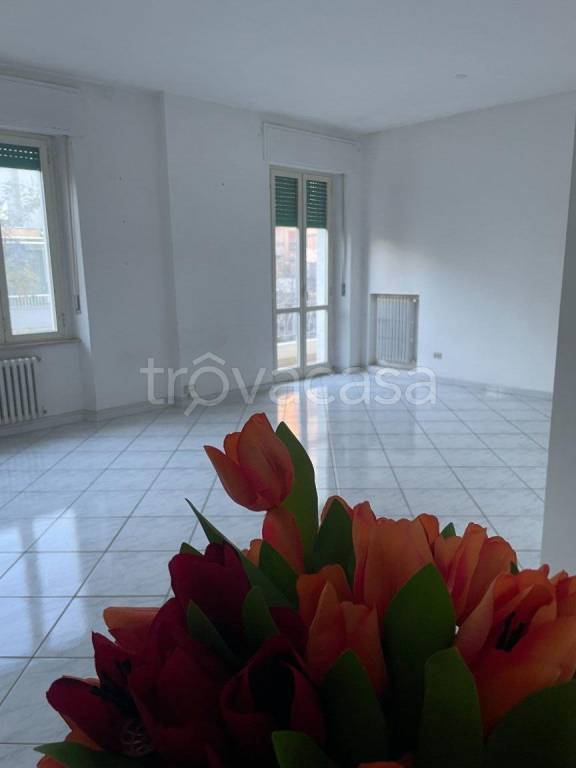 appartamento in affitto a Pescara