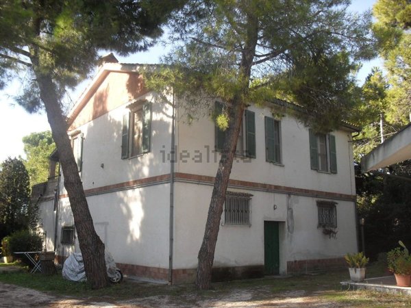 appartamento in affitto a Pescara