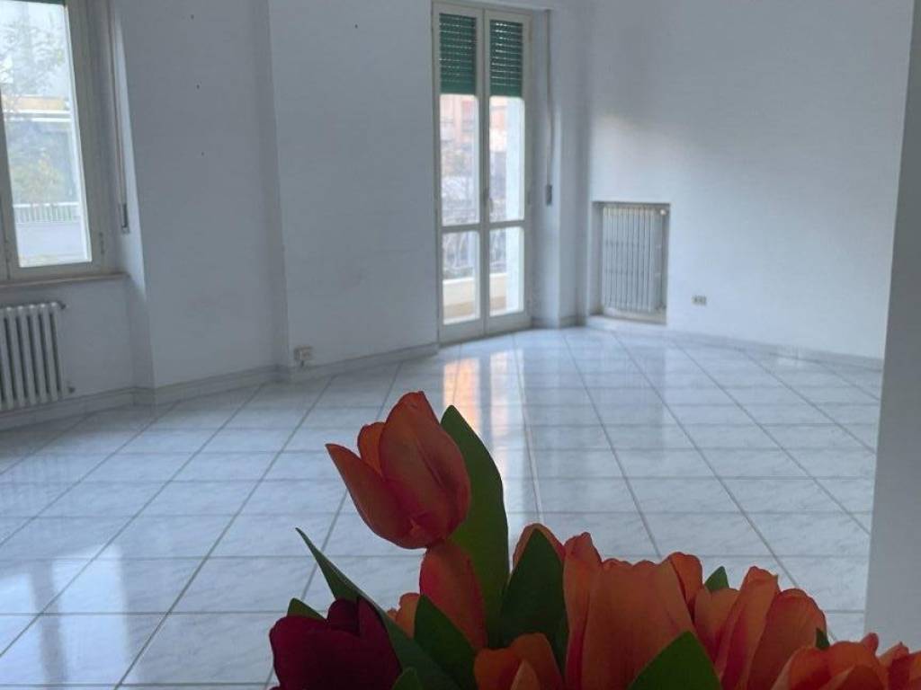 appartamento in affitto a Pescara