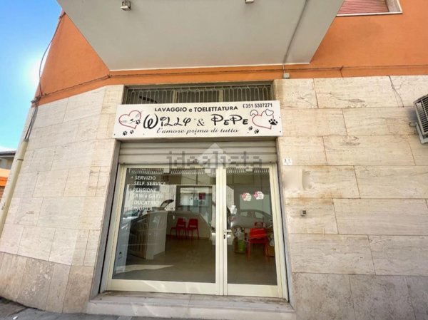 appartamento in affitto a Pescara