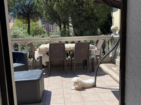 appartamento in affitto a Pescara