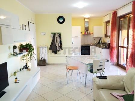 appartamento in affitto a Pescara