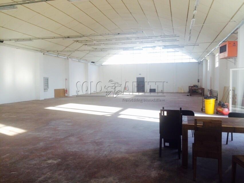 appartamento in affitto a Pescara