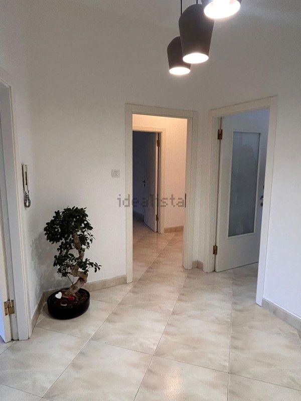 appartamento in affitto a Pescara