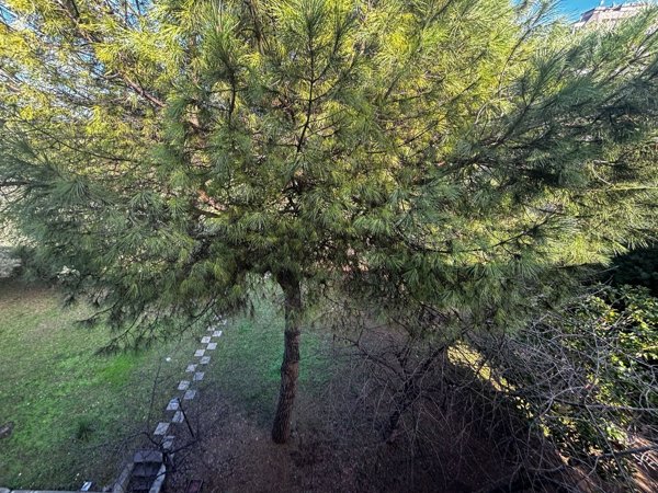 appartamento in affitto a Pescara