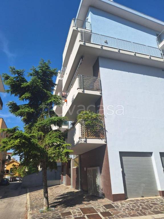 appartamento in affitto a Pescara in zona Stadio