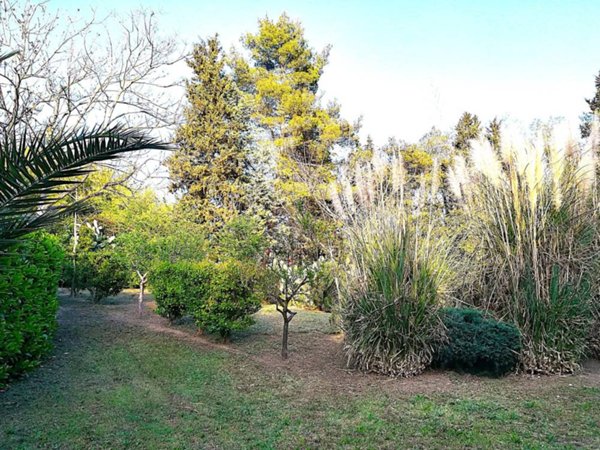 terreno agricolo in affitto a Pescara