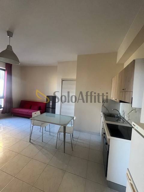 appartamento in affitto a Pescara