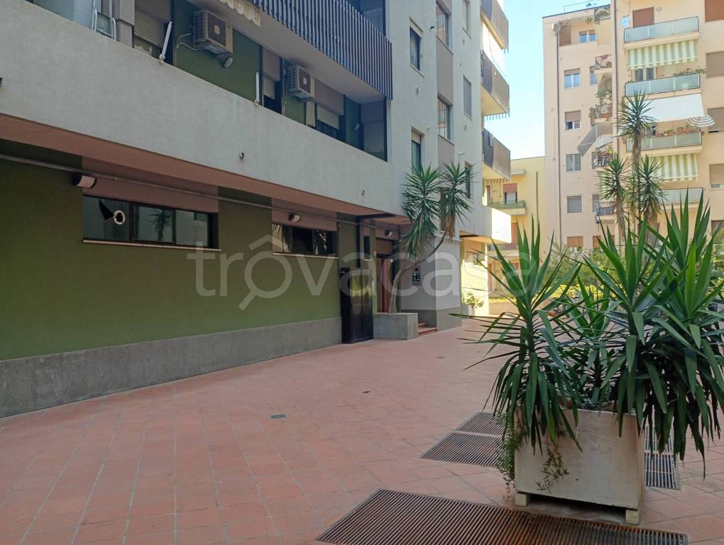 appartamento in affitto a Pescara in zona Duca degli Abruzzi