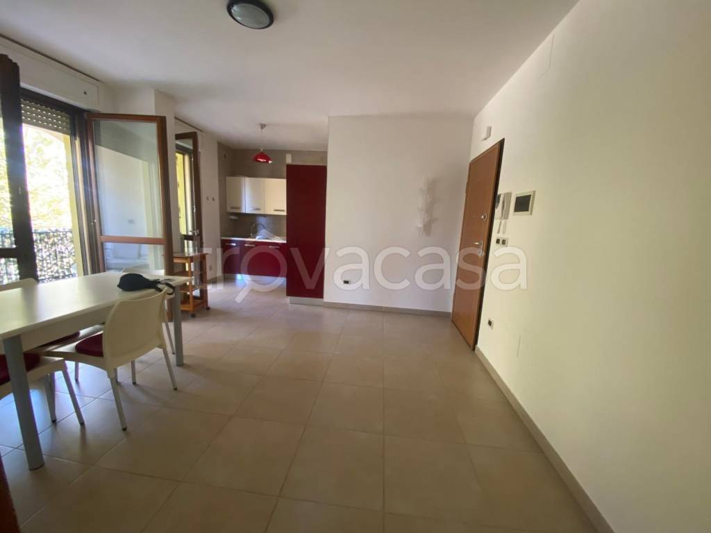 appartamento in affitto a Pescara