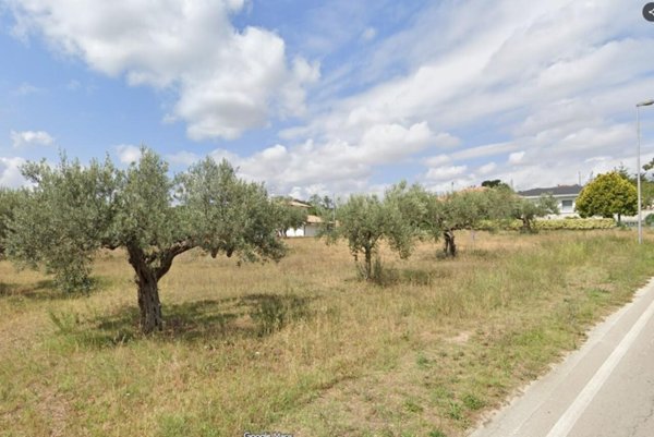 casa indipendente in affitto a Rosciano