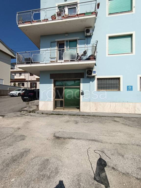 immagine annuncio 0 di 12