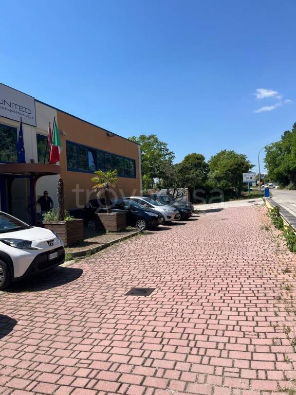 ufficio in affitto a Spoltore