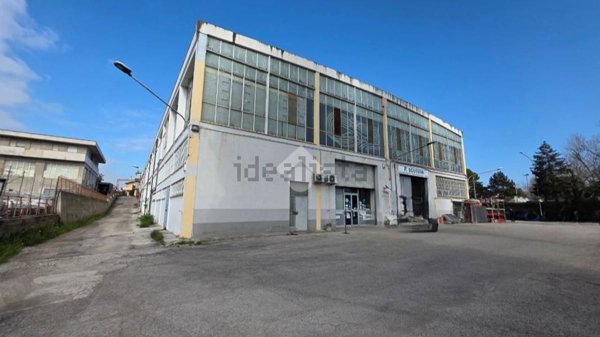 casa indipendente in affitto a Spoltore in zona Villa Raspa