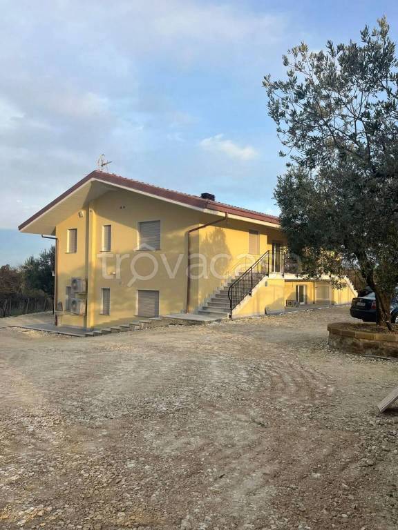 appartamento in affitto ad Arielli in zona Colle Martino