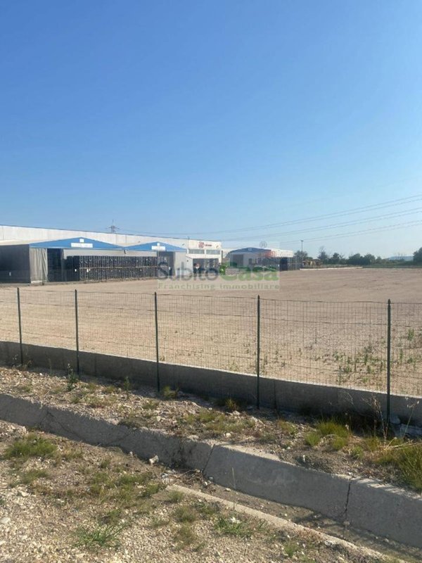terreno agricolo in affitto ad Atessa